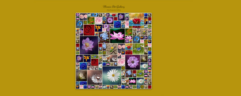 Vanilla-JS studies: a flight booking flow, a mosaic gallery, a heat-map simulator, Nastaliq SVG artwork